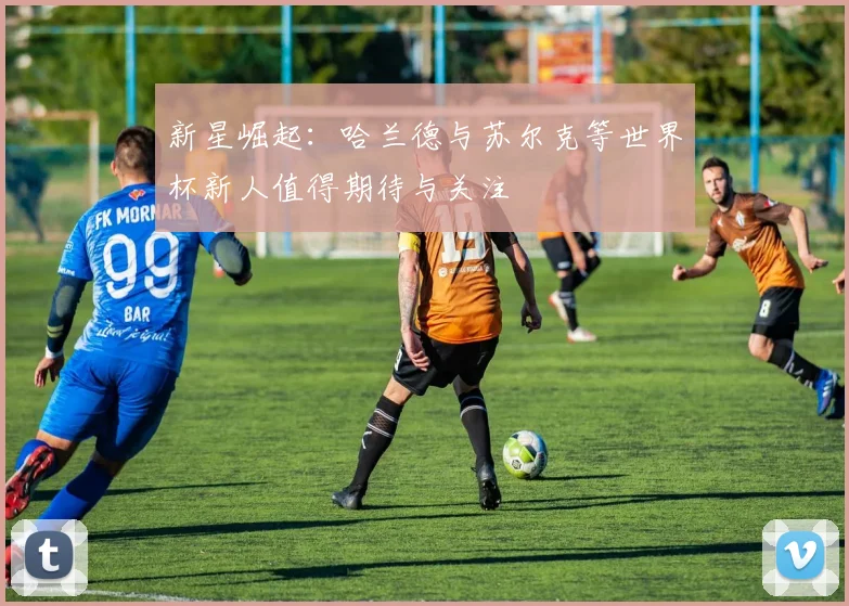 新星崛起：哈兰德与苏尔克等世界杯新人值得期待与关注